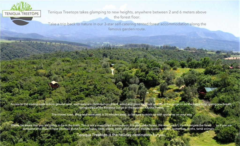 Teniqua Treetops - Image 11