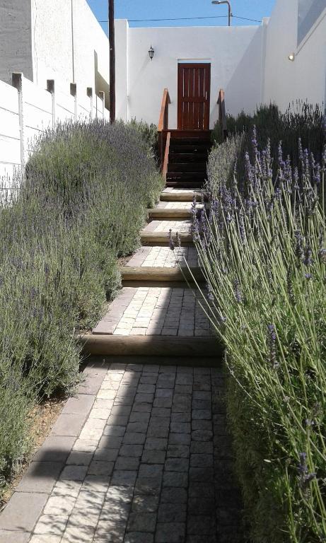 Lavandula Manor Self-Catering - Image 28