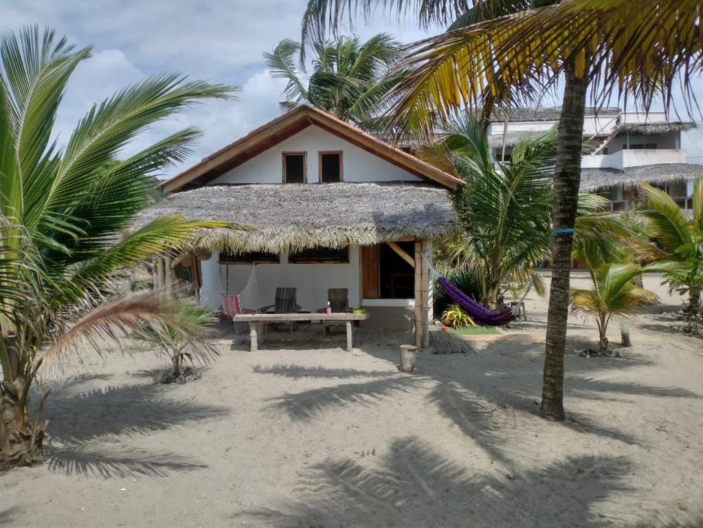 Beach Front Bungalows at the Coconut - Housity