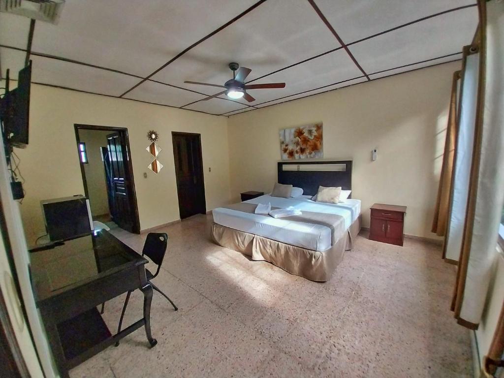 Suites & Apartments San Benito - Zona Rosa - デラックスキングルーム