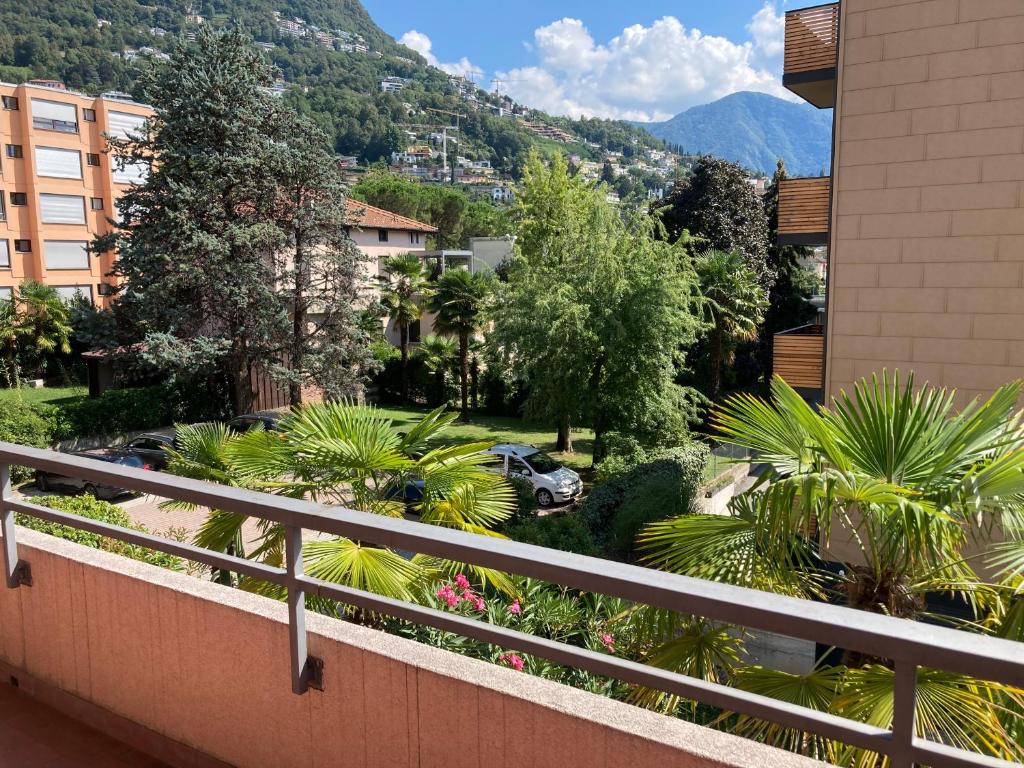 Lugano Viganello - Hizvo
