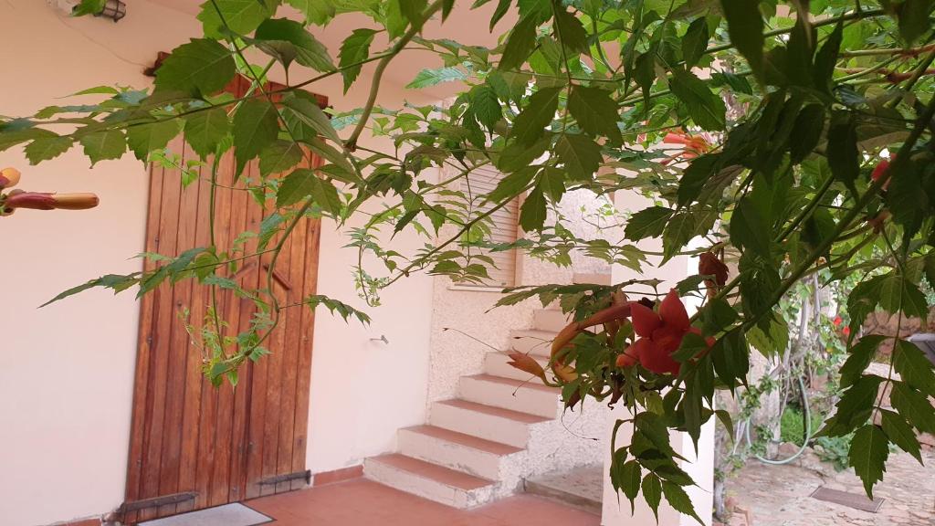 Casa Vacanze a Isola Rossa - Accogliente rifugio sul mare