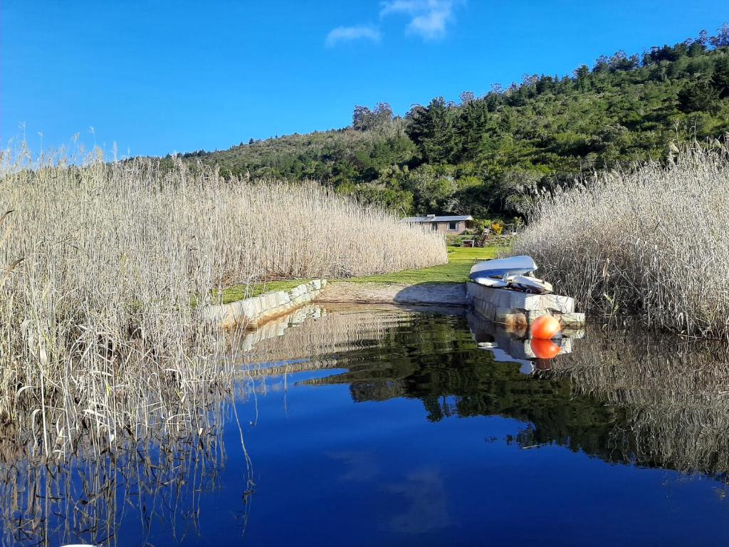 The Lake House - Image 9