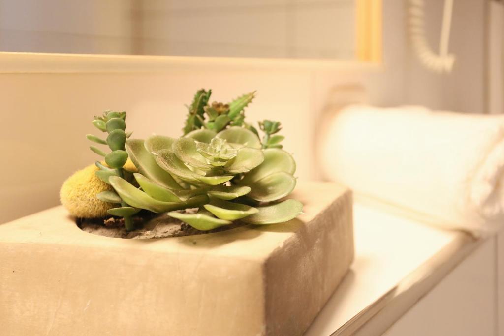 Sweet Studio - Super Central - One-Bedroom Apartment