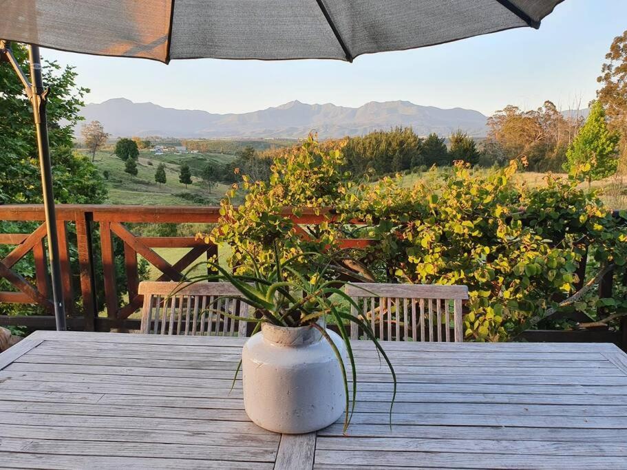 Beautiful country home on the Garden Route! - Image 19