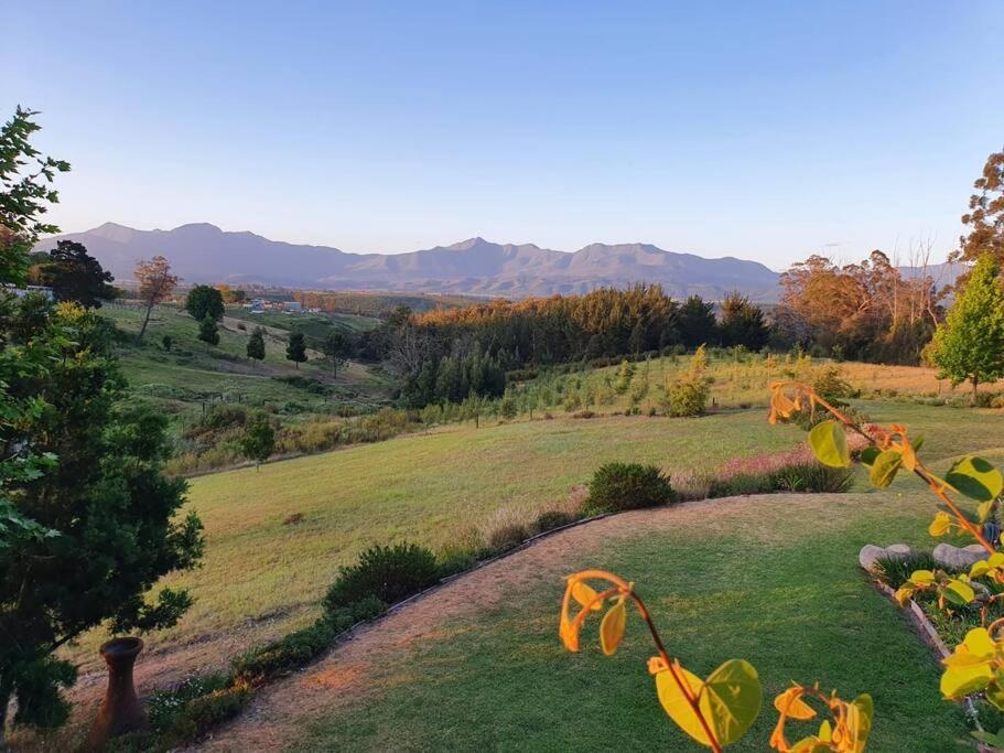 Beautiful country home on the Garden Route! - Image 9