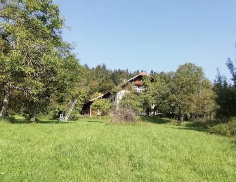 Moderne Ferienwohnung in denkmalgeschütztem Bauernhof - Housity
