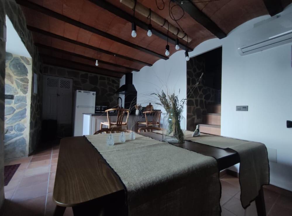 La puesta de sol a través de un denso bosque.