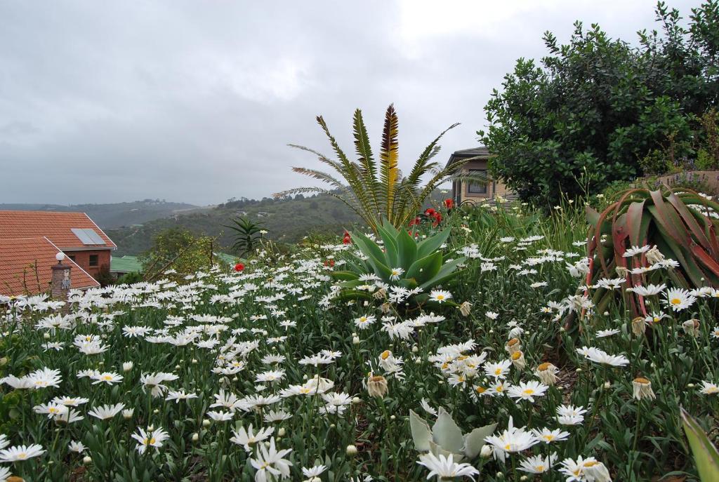 Wilderness Ocean View Cottage 1 - Image 16