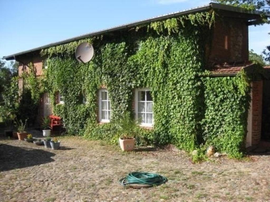 Gemütliches Ferienhaus in Lindow Mark mit Garten und Grill