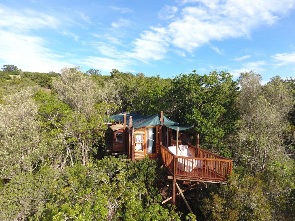 Teniqua Treetops - Image 6