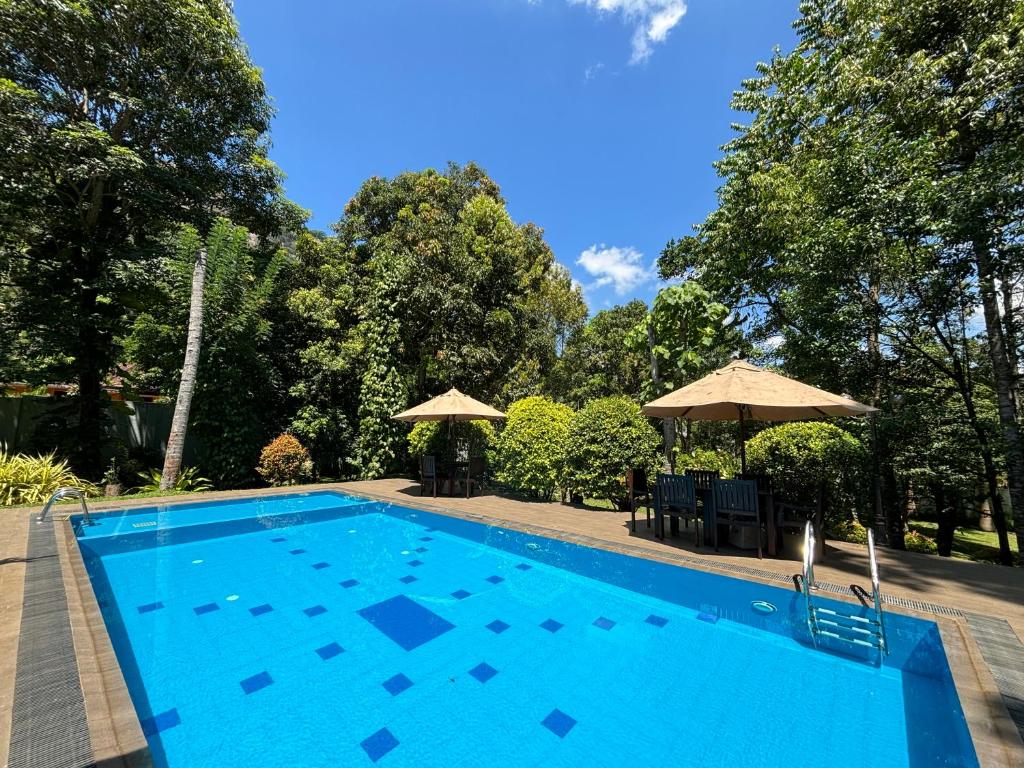 a large blue swimming pool with two umbrellas at Serenity Villa Digana in Kandy