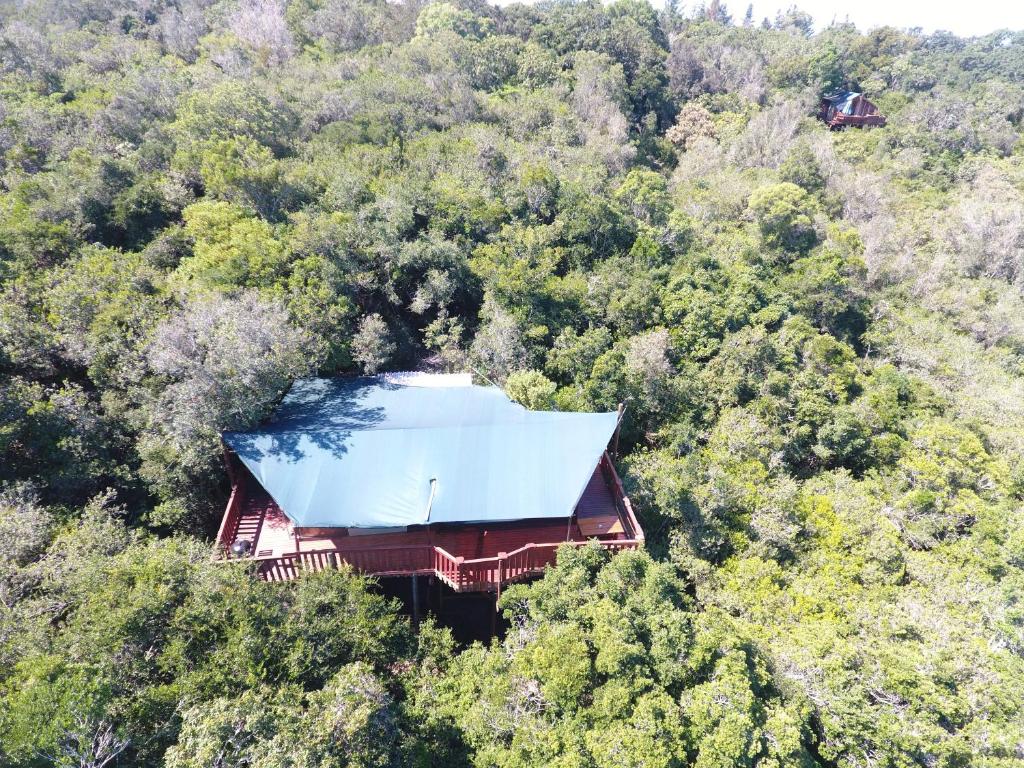 Teniqua Treetops - Image 39