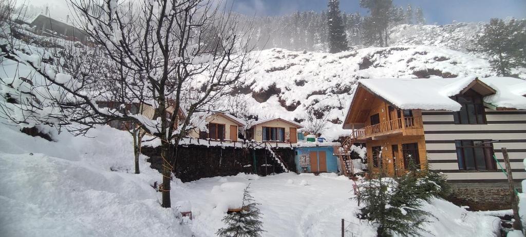 Kayal wood cottage homestay near kasol villege cafe - Housity