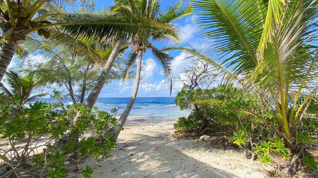 MOOREA CHILL and BEACH LODGE