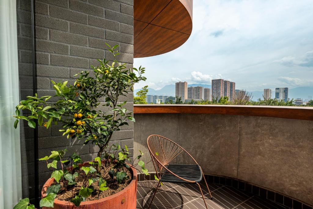 Hoteles en el Poblado, Medellin 563545189