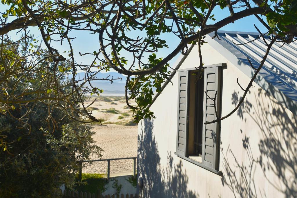 The Plett Shed - Image 21