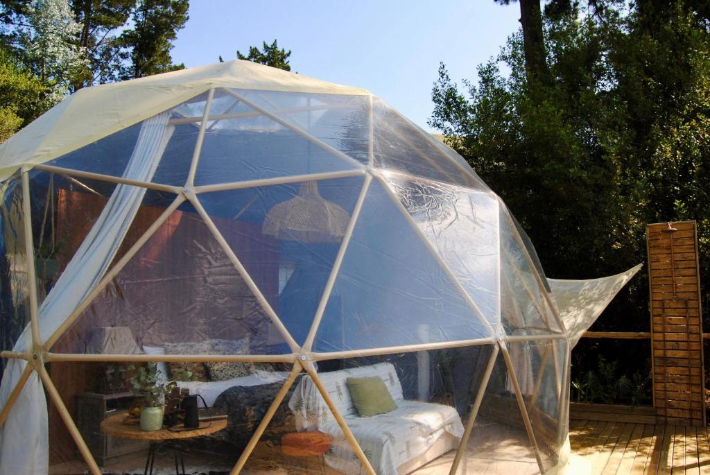 Soul Forest GeoDome - Off-grid Nature Escape - Image 13