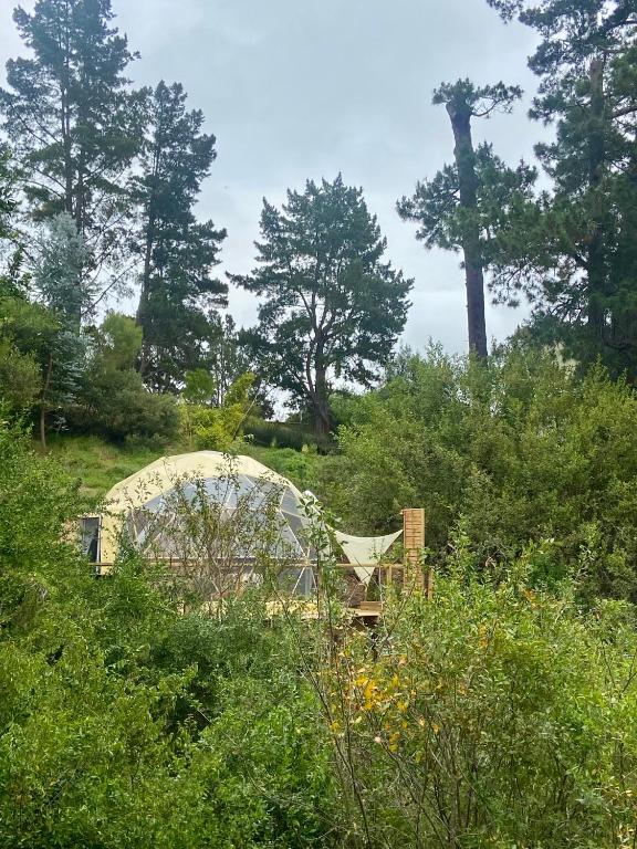 Soul Forest GeoDome - Off-grid Nature Escape - Image 39