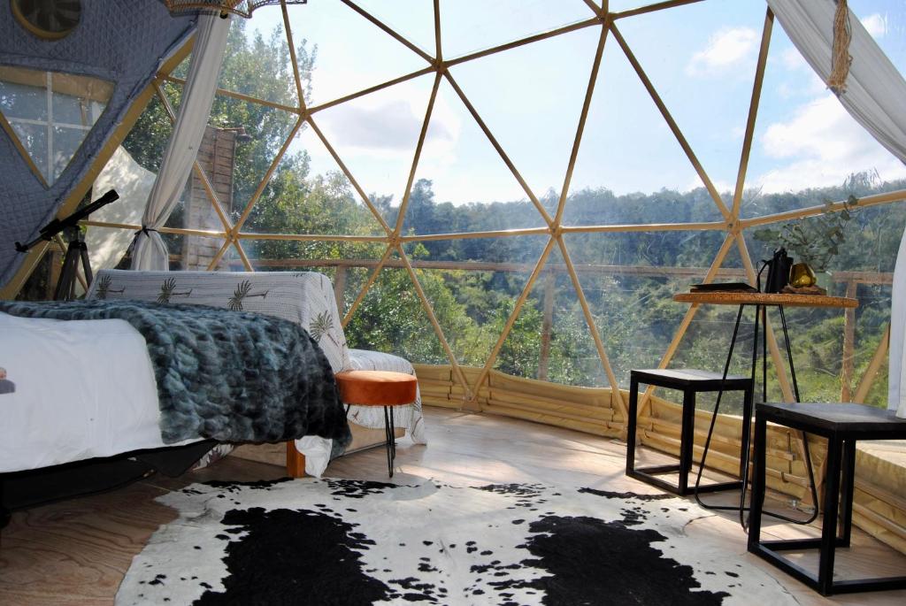 Soul Forest GeoDome - Off-grid Nature Escape - Image 11