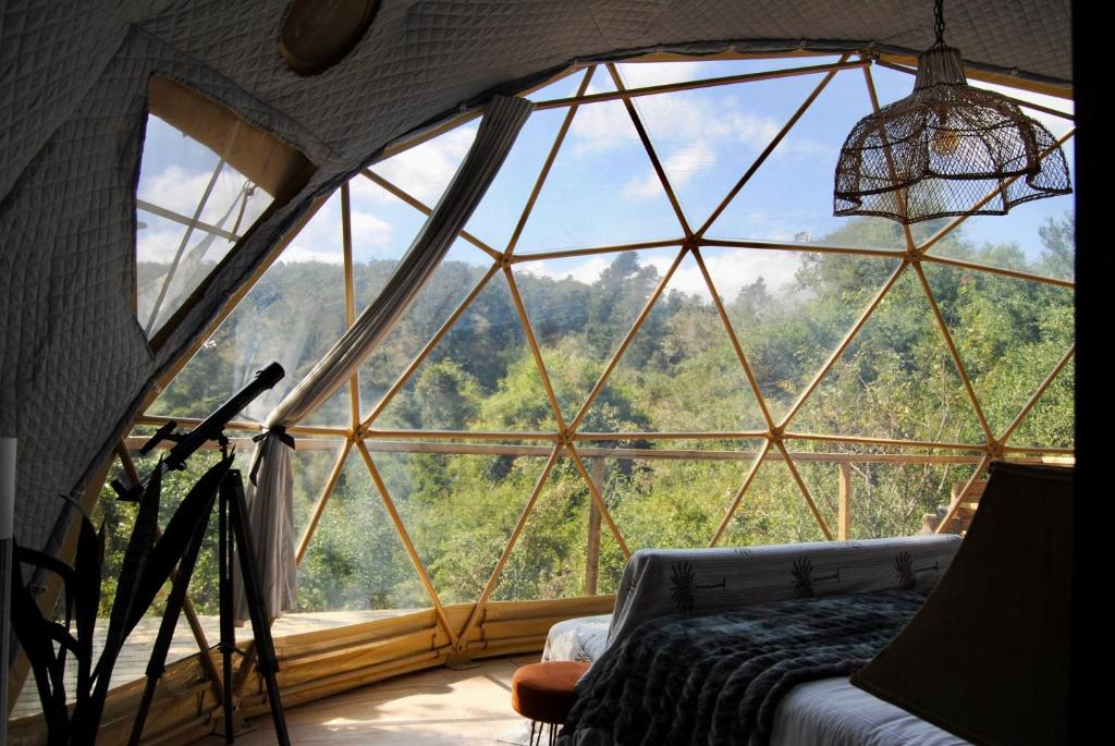 Soul Forest GeoDome - Off-grid Nature Escape - Image 10