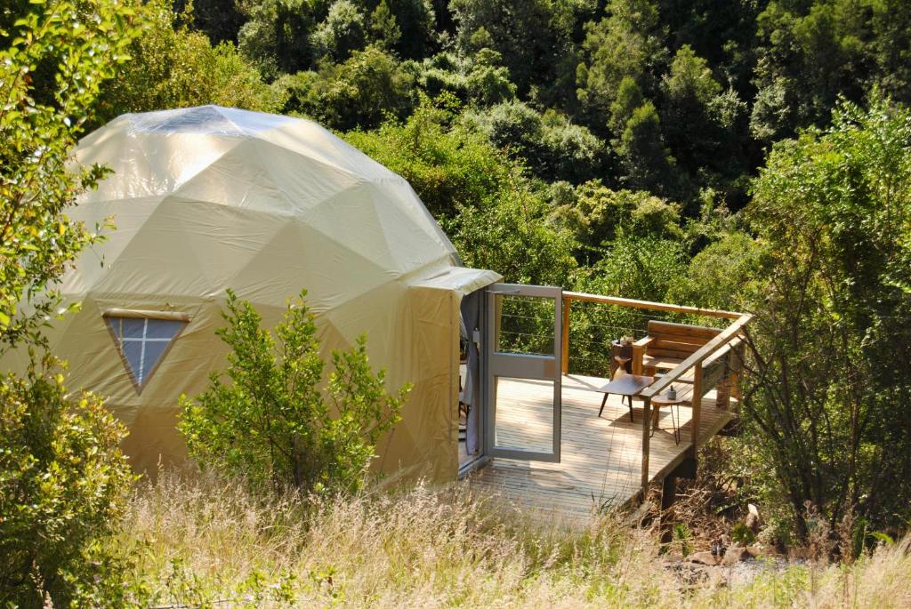 Soul Forest GeoDome - Off-grid Nature Escape - Image 12