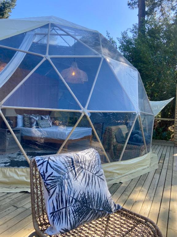 Soul Forest GeoDome - Off-grid Nature Escape - Image 9