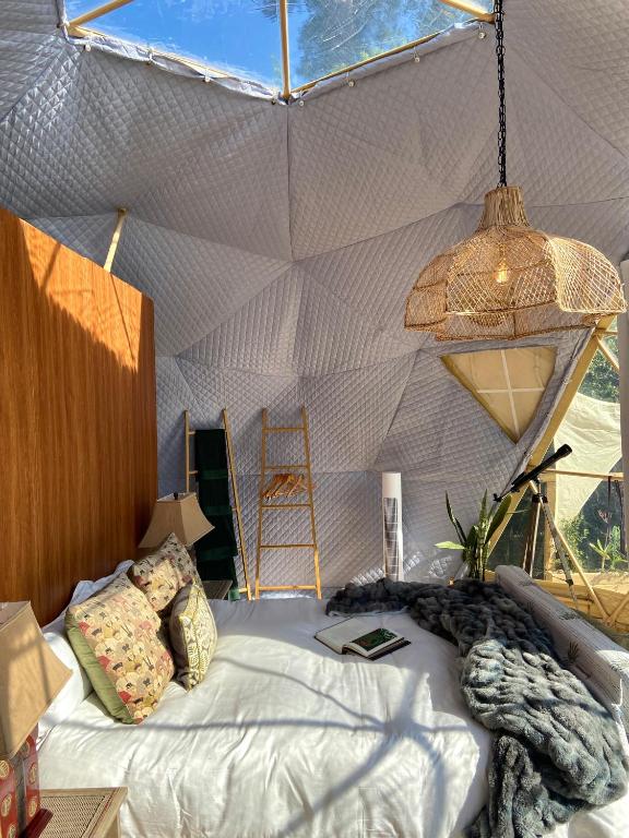 Soul Forest GeoDome - Off-grid Nature Escape - Image 24