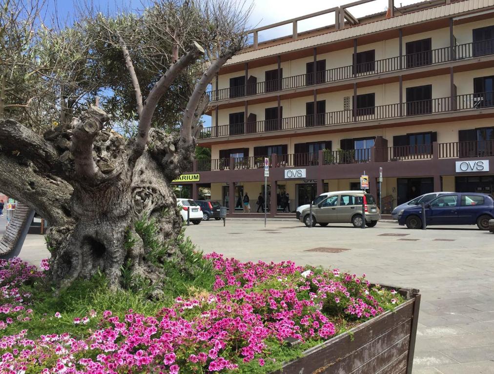 B&B Sulis ad Alghero - Accogliente rifugio vista mare