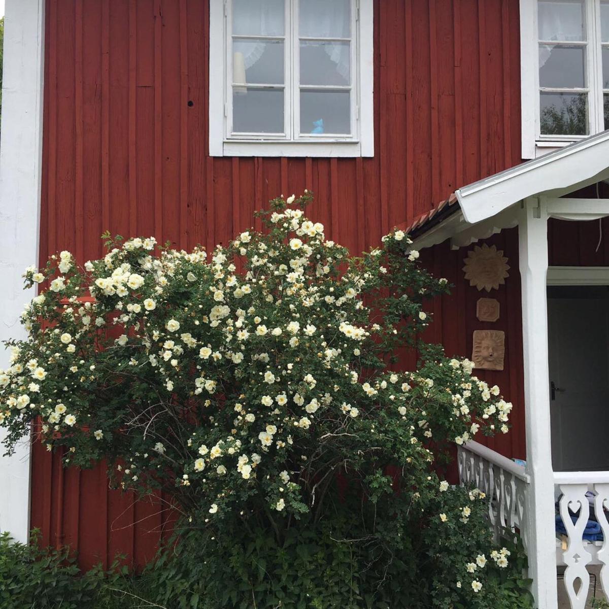 Stabyvägenhus - Housity