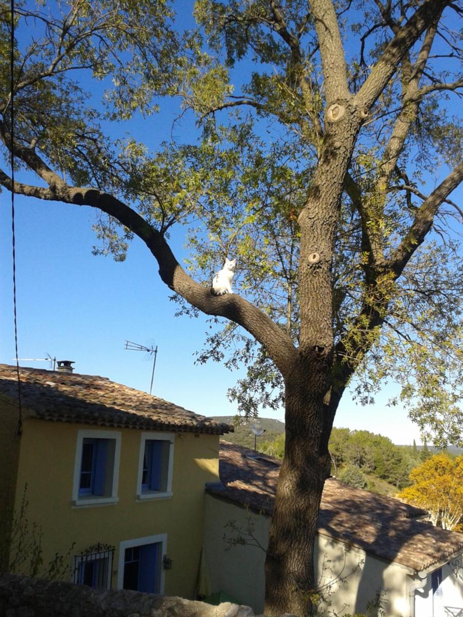 LA MAISON D'A COTE - Housity