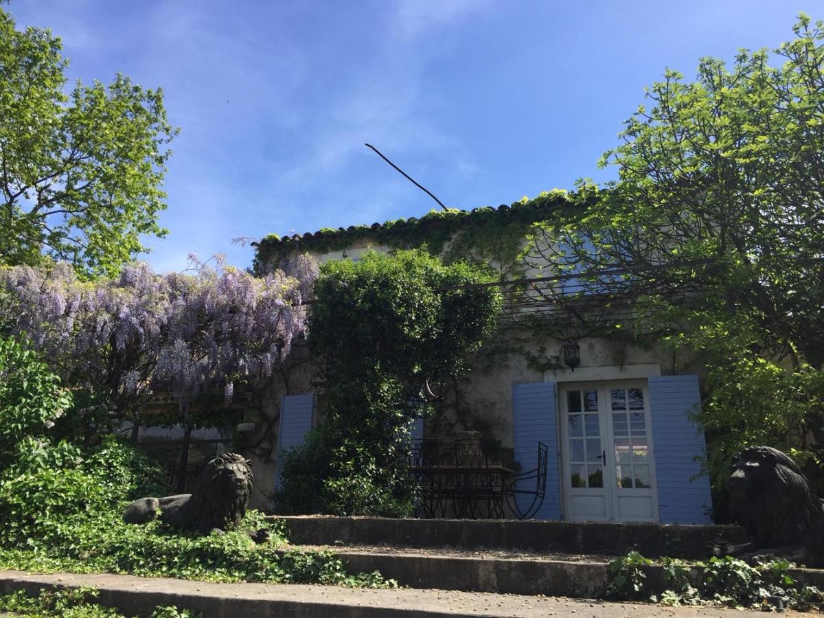 Domaine Louisiane - Housity