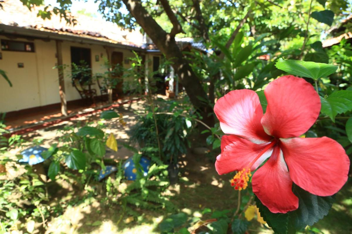 Casa de Los Berrios - Housity