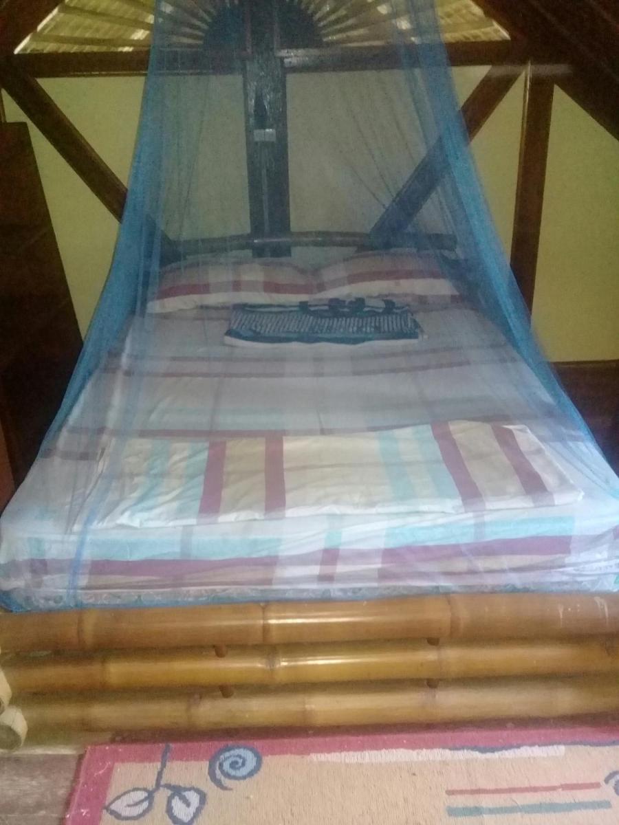 Alona Native Hostel - Housity
