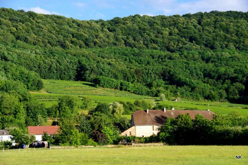 2 chambres d'hôtes privées louées séparément avec communs à partager - Housity