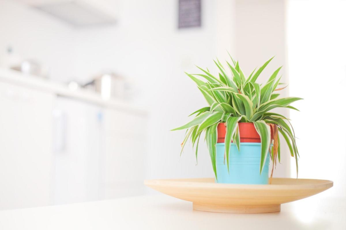 Suitetrails - Maksimir-Rebro