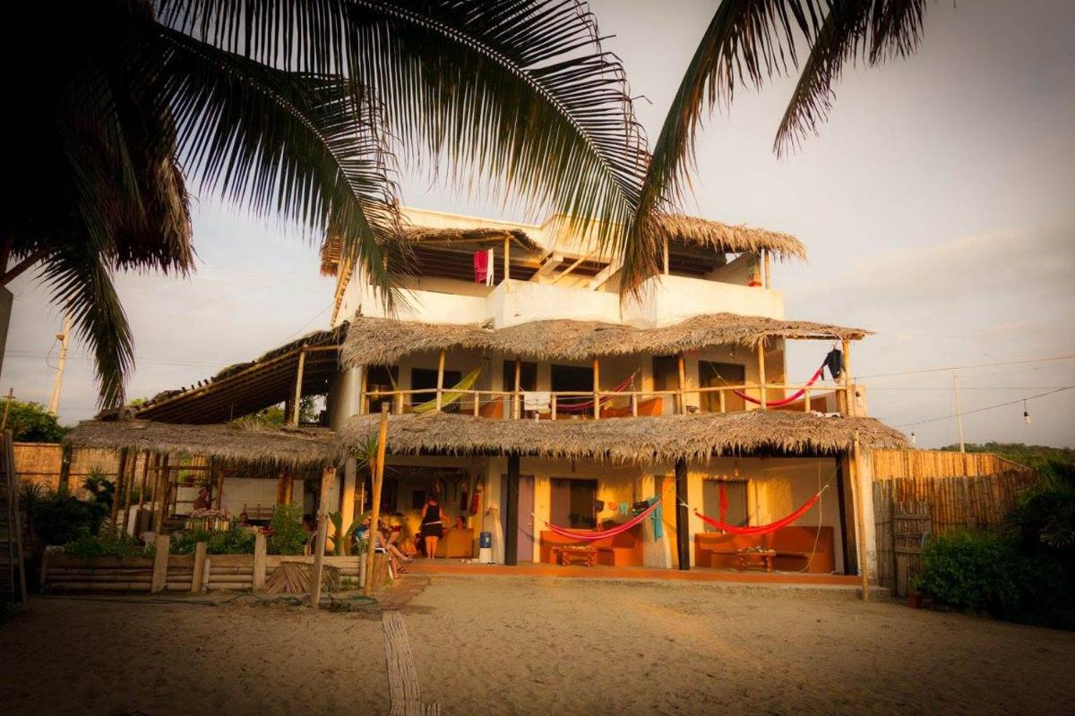 Beach Front Bungalows at the Coconut - Housity