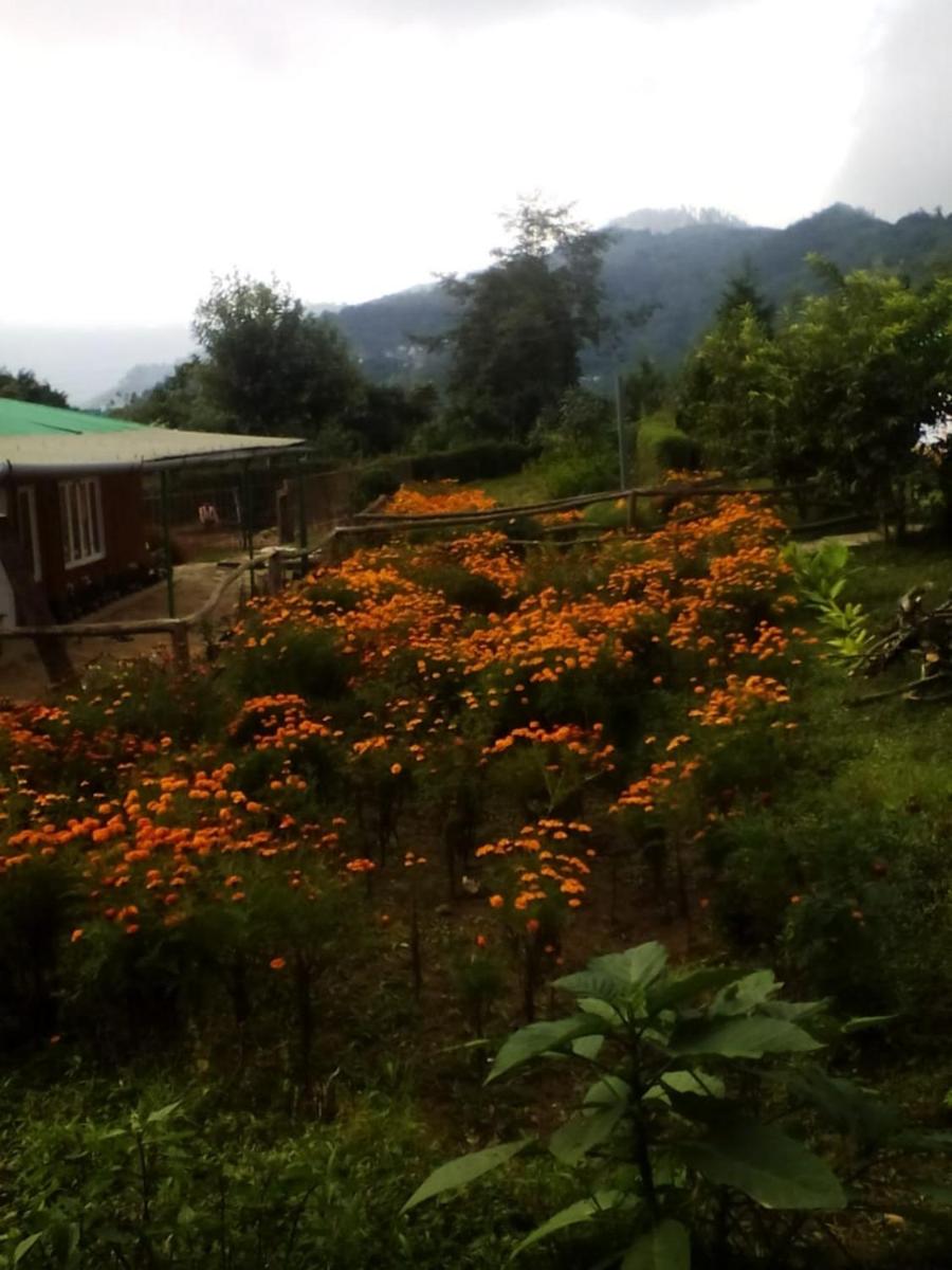 Suitetrails - Vamoose Dilpali Homestay