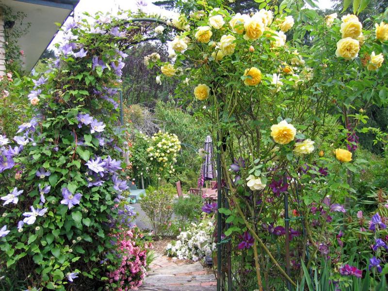 Suitetrails - McAuley Glen Boutique B&B