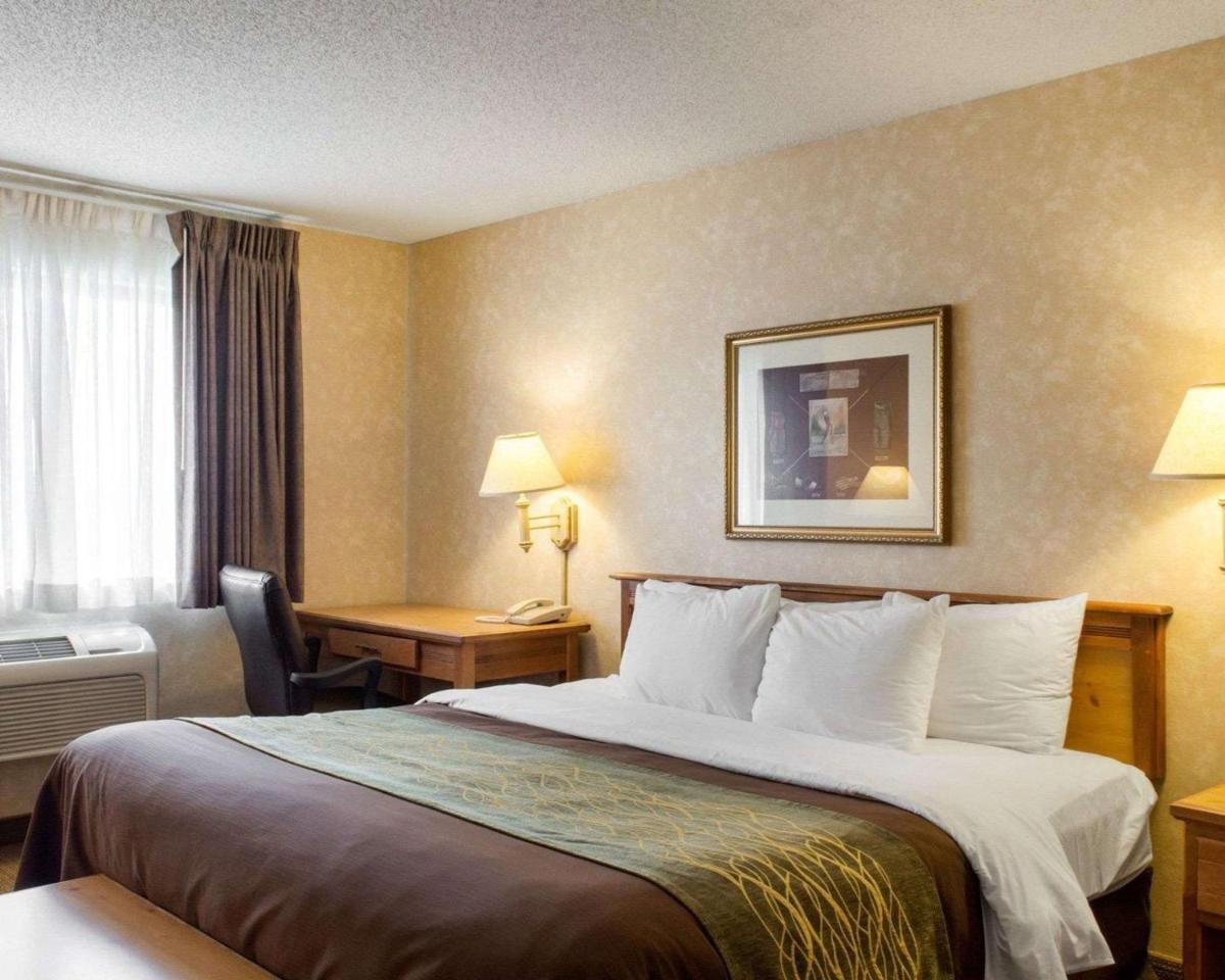 Quality Inn Brandon - Housity