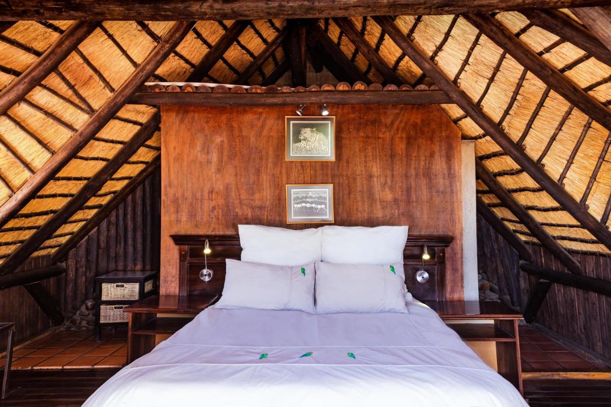 Chameleon Backpackers & Guesthouse - Housity