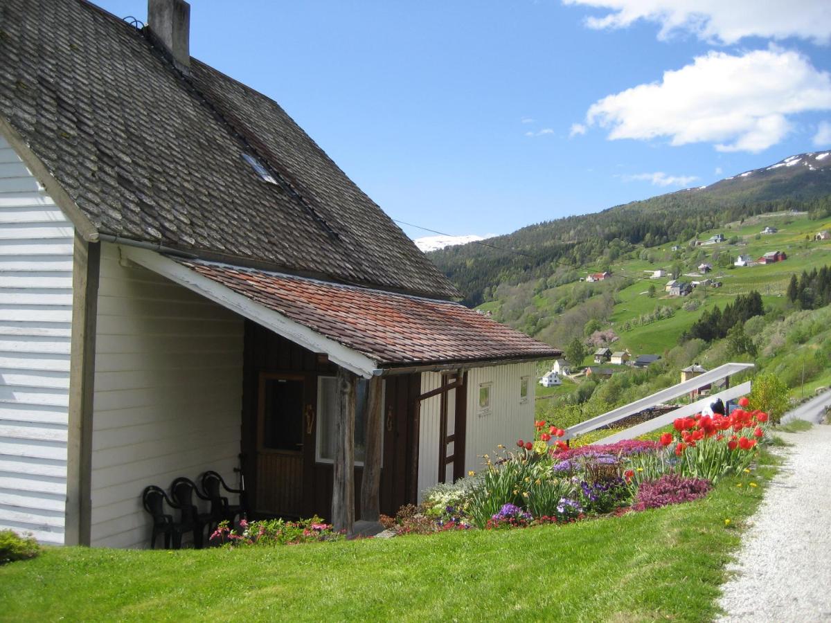 Suitetrails - Hammertunet