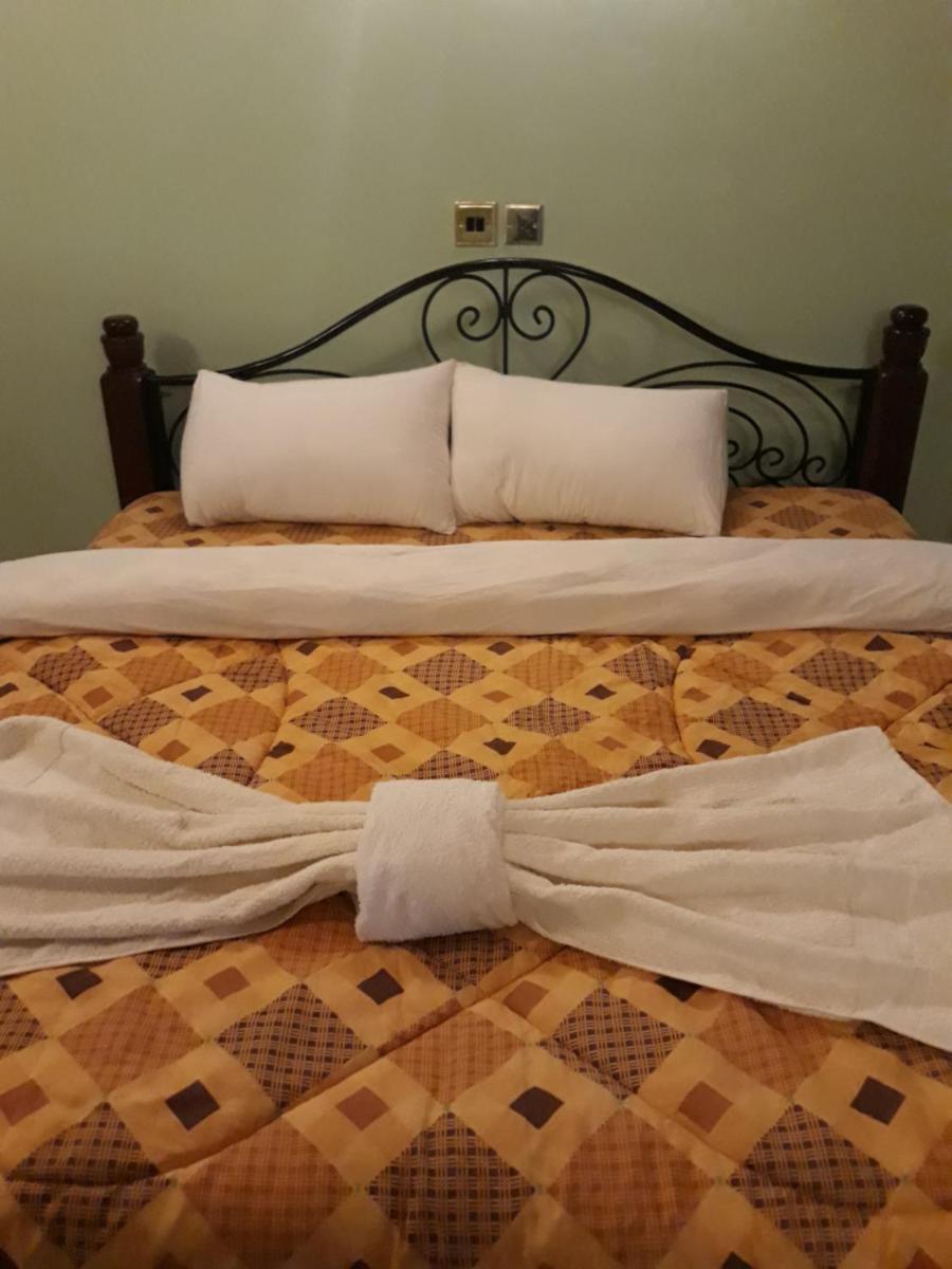 Palm Airport Suites - Housity