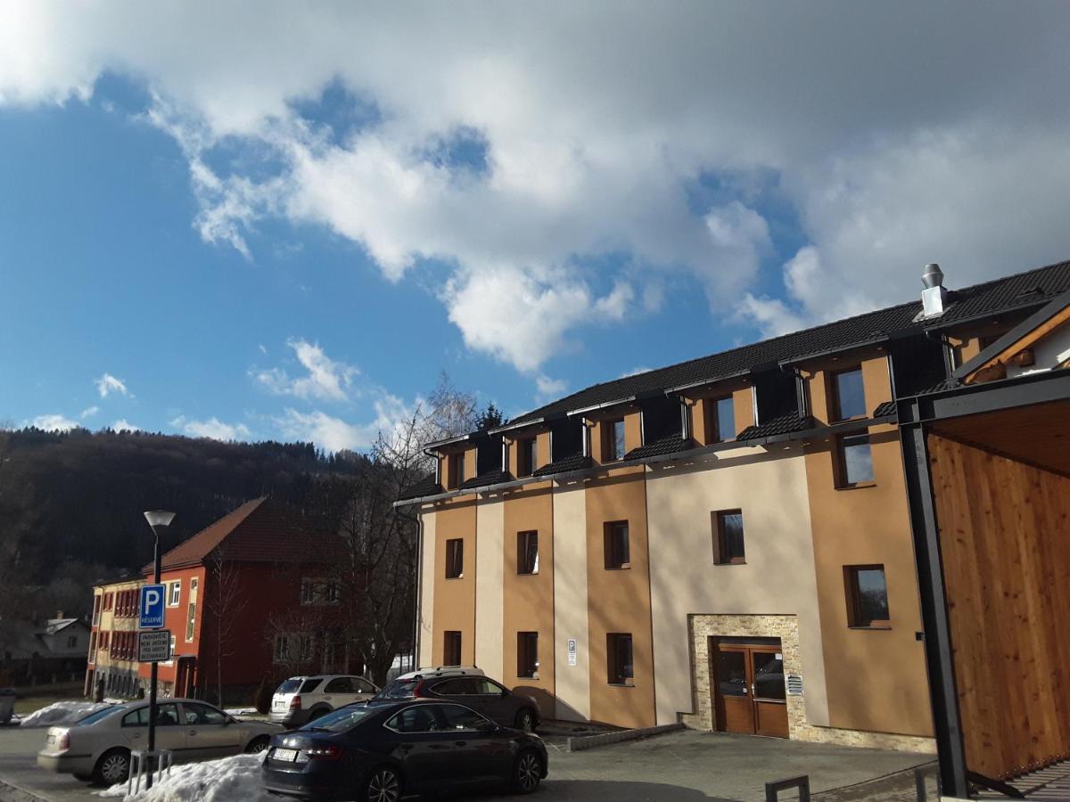 Apartmán Lipa, Loučná nad Desnou - Housity