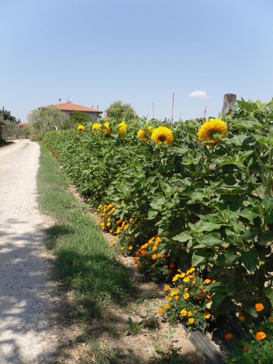Suitetrails - Agriturismo San Rocco