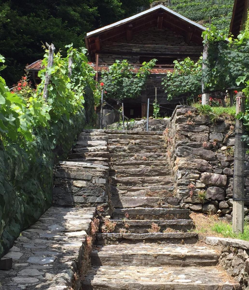 Suitetrails - Casa immersa nel vigneto