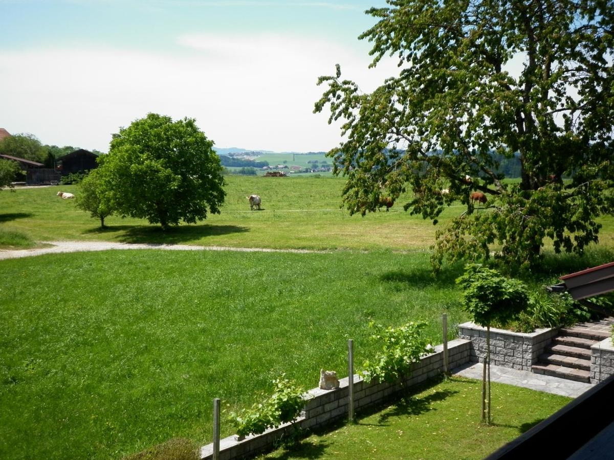 Suitetrails - Seeblick