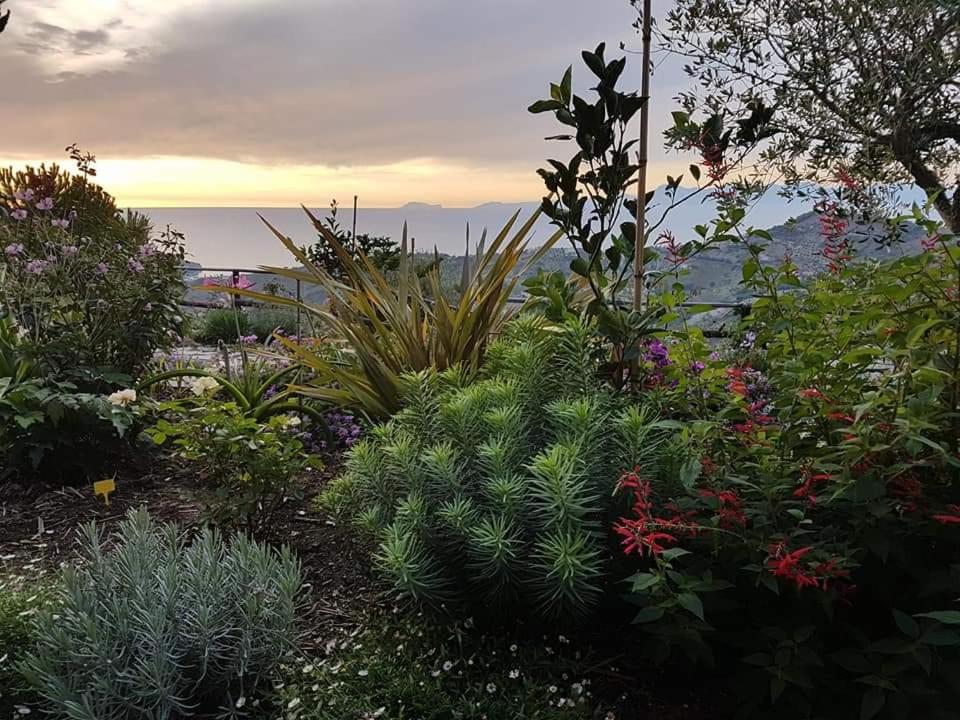Suitetrails - Tramonto Su Capri