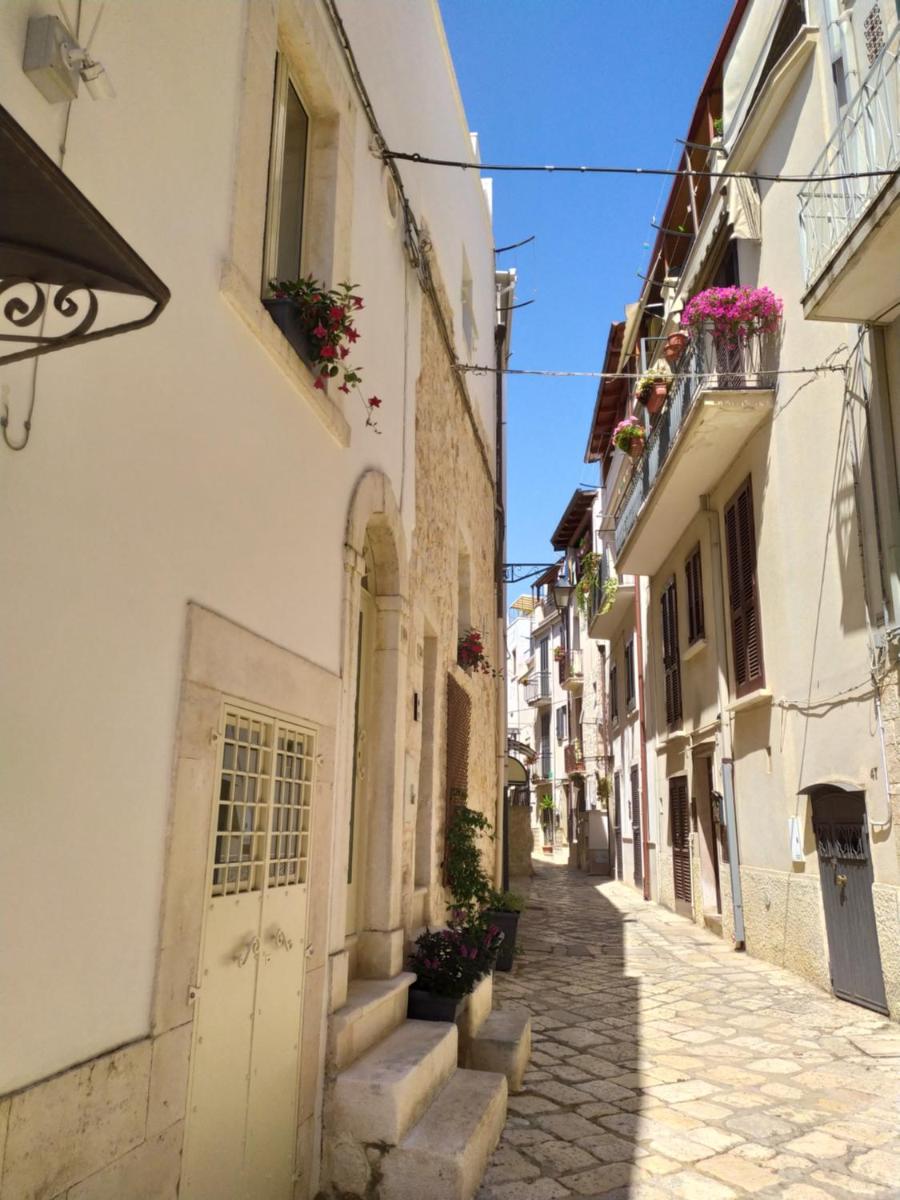 Suitetrails - LA CASETTA 6058
