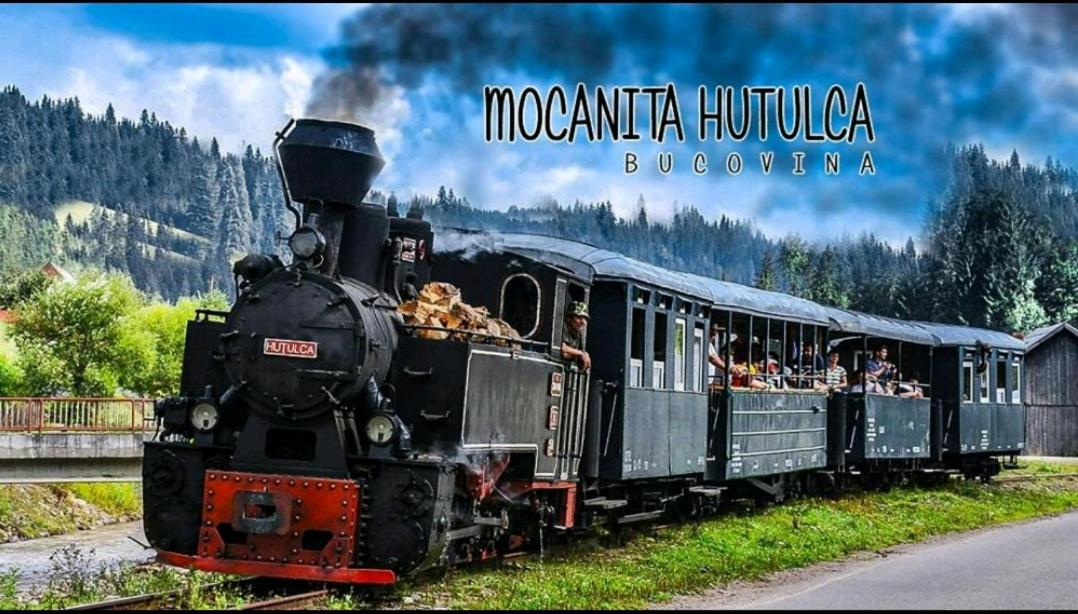 Moldi Moldovita Mocanita - Housity